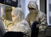 Mirip Gejala Nipah, Virus dari Kelelawar Ini Juga Perlu Diwaspadai