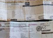 Gempa 5,9 Magnitudo Guncang Kepulauan Tanimbar Maluku