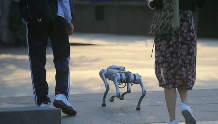 Robot Anjing Uji Coba di Gunung Etna, Mampu Mendeteksi Gas dan Memprediksi Letusan
