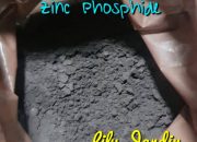 Puslabfor Ungkap Jenis Racun yang Membunuh Sebuah Keluarga di Warakas