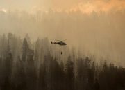 Kebakaran Hutan di Argentina, Lahan Seluas Dua Kali Kota Buenos Aires Terbakar