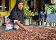 Sinergi Global PNM Tuju 4,1 Juta Nasabah Mekaar Sektor Pertanian