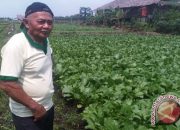 Petani Muda Kalbar Manfaatkan Teknologi IoT untuk Pantau Kelembaban Lahan Gambut Secara Real-Time