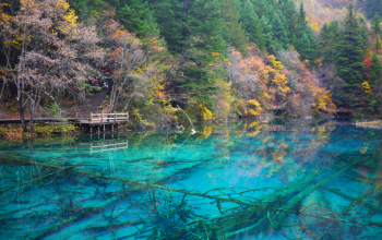 Tiongkok Buka Rute Penerbangan Langsung ke Pontianak: Peluang Emas bagi Pariwisata Kalbar