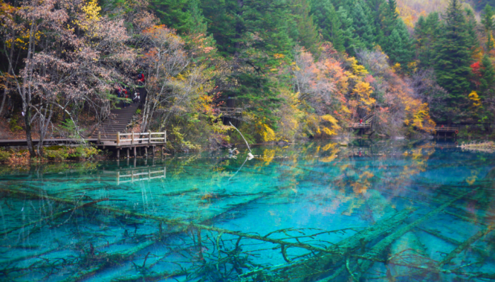 Tiongkok Buka Rute Penerbangan Langsung ke Pontianak: Peluang Emas bagi Pariwisata Kalbar