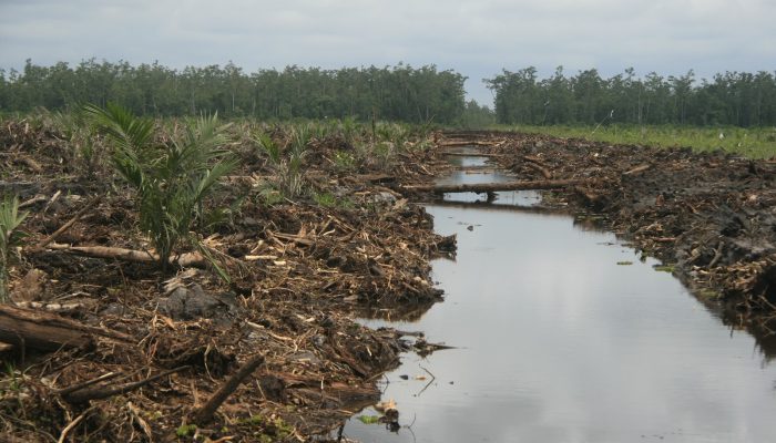 Pemanfaatan IoT untuk Pengelolaan Lahan Gambut oleh Petani Muda Kalimantan Barat